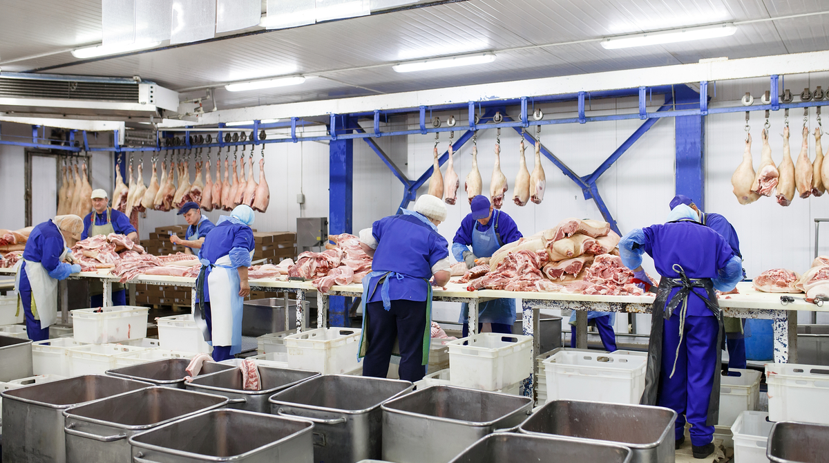 Penokean Hills Farms Will Get New Abattoir